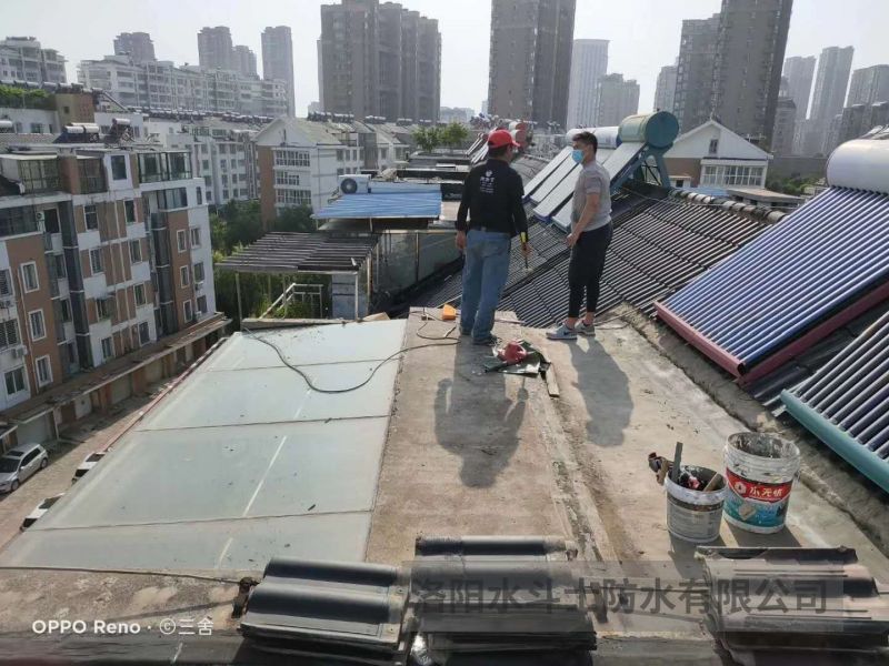 陽(yáng)光房 (2)