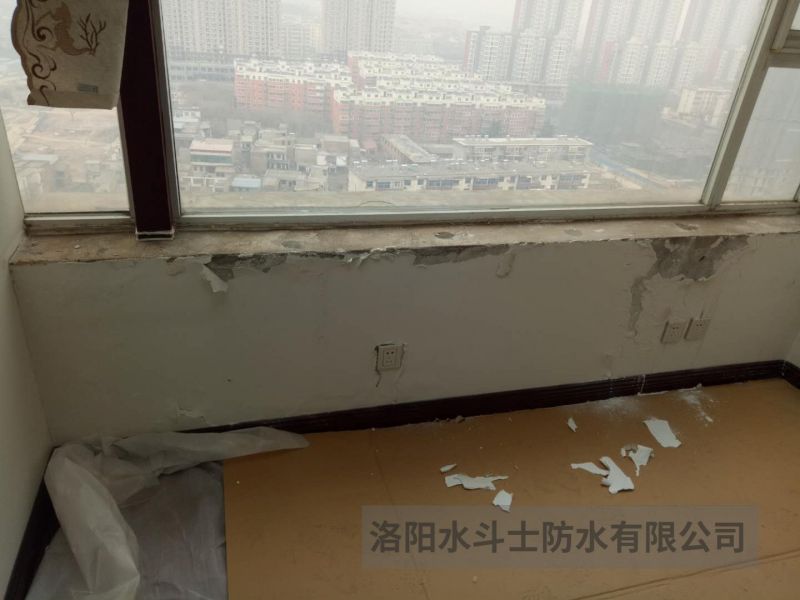 陽(yáng)光房 (3)